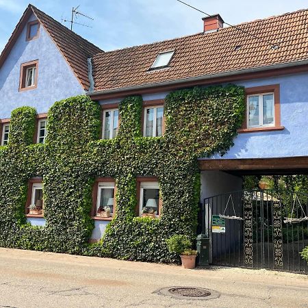 Schoenbachhof Silz  Exterior foto
